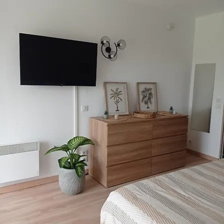 T1 Et T2 - Les Hameaux De Camargue Apartament Arles